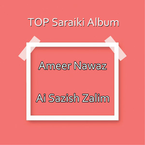 Ameer Nawaz - Ae Qaisde Khamosh