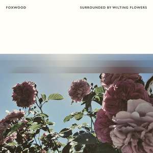 Surrounded by Wilting Flowers