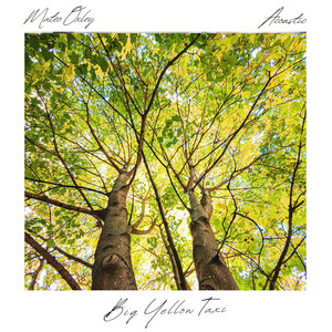 Big Yellow Taxi - Acoustic by Mateo Oxley