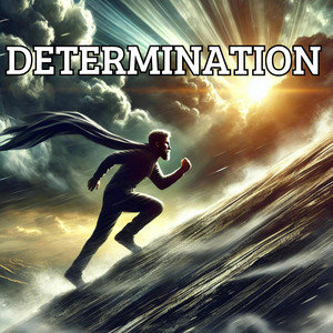 DETERMINATION
