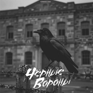 Чёрные вороны by Кирилл Глич