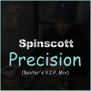 Precision (Baxter's V.I.P. Mix) by Spinscott