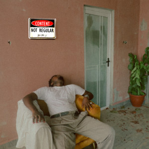 NOT REGULAR by Seth Leo