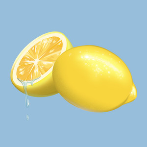 Portada de Zesty
