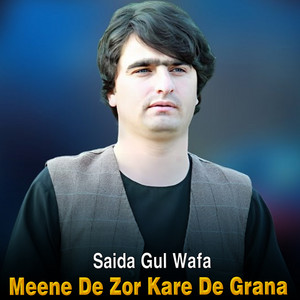 Saida Gul Wafa - Meene De Zor Kare De Grana