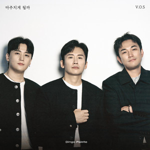 Will I See You by V.O.S
