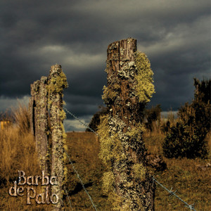 Barba de Palo - Chiloé