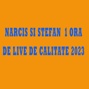 Stefan de la Barbulesti regele - Narcis Si Stefan - O Ora De Live De Calitate 2023 (Live)