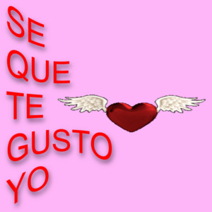 Se que te gusto yo