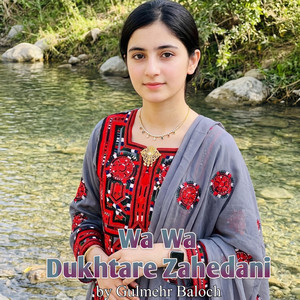 Wa Wa Dukhtare Zahedani by Gulmehr Baloch