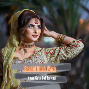 Shahid Ullah Wazir - Zama Ow Sta Lari Yi Dawi Kari