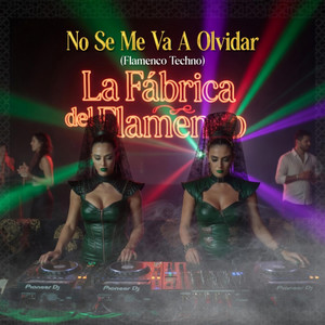 No Se Me Va A Olvidar (Flamenco Techno) by La Fábrica Del Flamenco