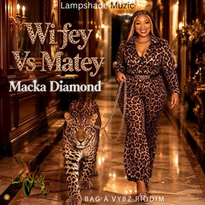 Wifey Vs Matey (Bag a Vybz Riddim) by Macka Diamond, Lampshade Muzic