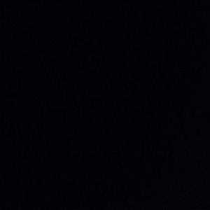 Fredji - Haitiano todo mundo dança