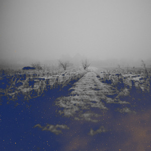 Flourishing Memories by Sonant