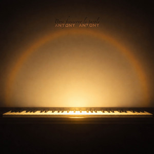 Una direzione lieve by Antony Antony