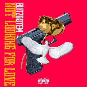 BlitzGotEm - Credit Or Debit