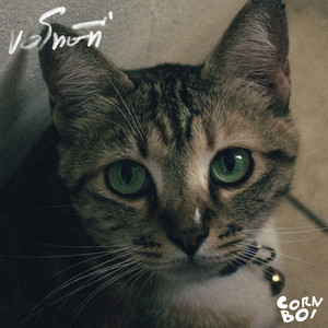 ขอโทษที่ by CORNBOI