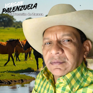 Parrandeo y Sin Problemas by Yorgan Palenzuela El Tucusito de Zaraza