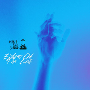 Echoes Of The Lab by Pulse Lab Crew, Biqueira Beatz, Miixii Beats