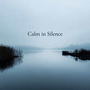 Calm in Silence by COB, Rentaro Taki
