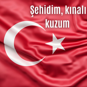 Şehidim, kınalı kuzum (TurAZ)