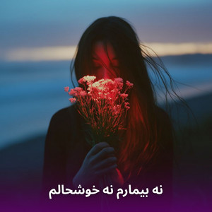نه بیمارم نه خوشحالم by Awalmir II