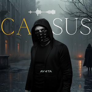 Ay4ta - Casus