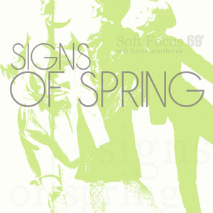 Every Reflection Looked Like Her Until It Didn’t Matter by Signs Of Spring