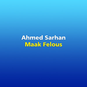 Ahmed Sarhan