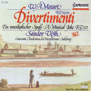 Divertimento No. 2 in D Major, K. 131: II. Adagio