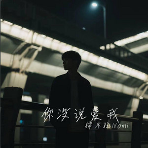你没说爱我 ｜R&B｜You didn't say love me by 你的名字-七七