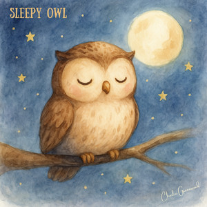 Sleepy Owl by Charlie Greenwood Album Cover