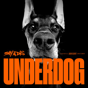 UNDERDOG by Shy & DRS