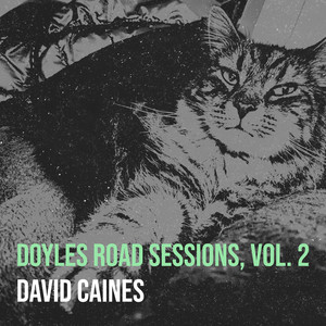 album cover: Doyles Road Sessions, Vol.2