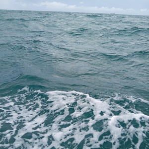 EVAN SCOTT JOHNSTONE - Enjoy the Beauty of a Beach Day