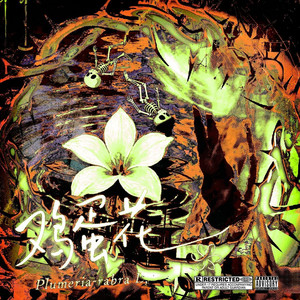 鸡蛋花 cover art