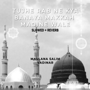 Tujhe Rab Ne Kya Banaya Makkah Madine Wale (Lofi-Mix)