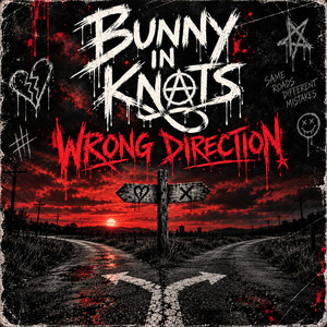 Wrong direction by Bunny in Knots