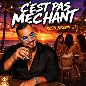 C'est pas Mechant by Soso Brown