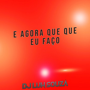 Dj Luh Souza - E Agora Que Que Eu Faço