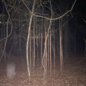 complacent (feat. sadlistical & Swerry)