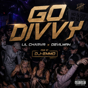 GO DIVVY