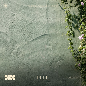 Feel by Harlachyng