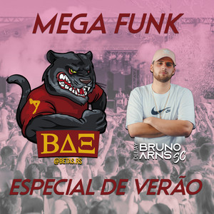 MEGA FUNK BETAS.RS (ESPECIAL DE VERÃO)