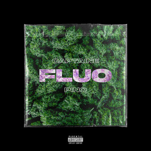 Portada de FLUO