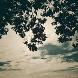 Favourite - Semitone Down Version by Rolöski