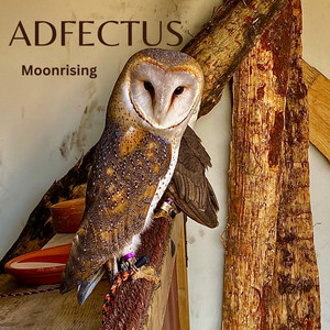Moonrising by ADFECTUS