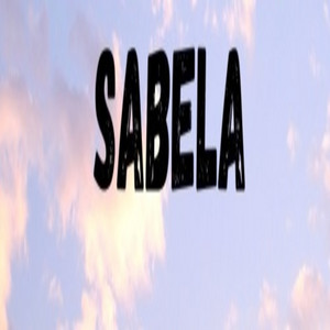 Sabela by Kabza De Small cover art