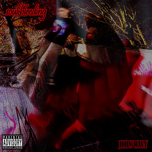 Soul Bleeding